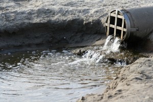 Standing water is an attractant for many pests.